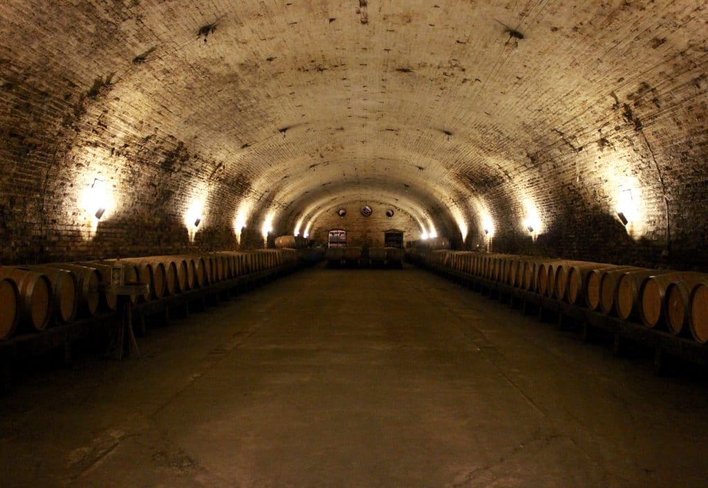 Reconnaissance of the Chilean wine industry affected by the 2010 Chile offshore Maule earthquake