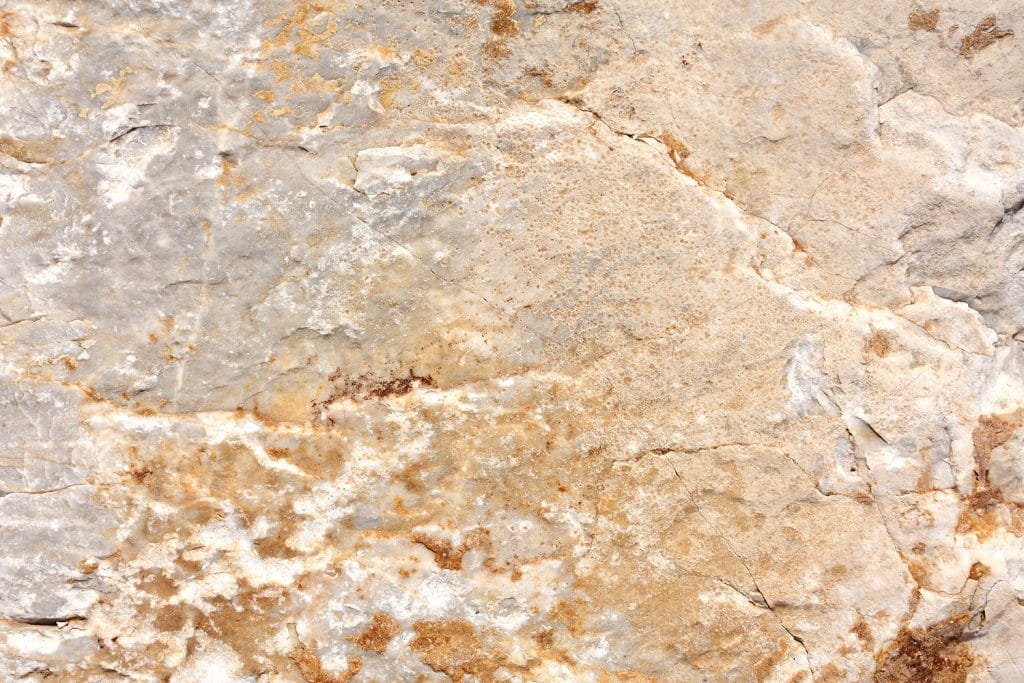 SEAONC Recognizes SGH’s Kevin Moore and Keith Palmer with 2020 Honor Awards