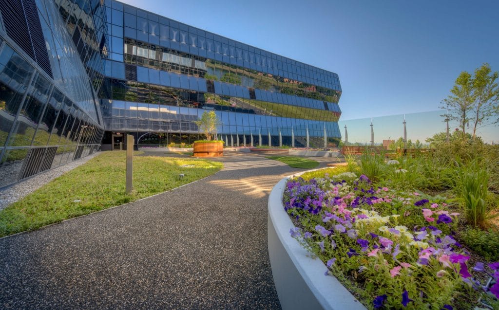 A Hospital’s Oasis